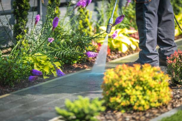 Best Fence Cleaning and Maintenance in Fordyce, AR