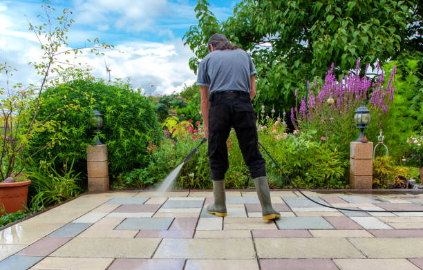 Best Driveway Cleaning and Restoration in Fordyce, AR